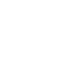 banner-vector-top
