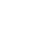 vector